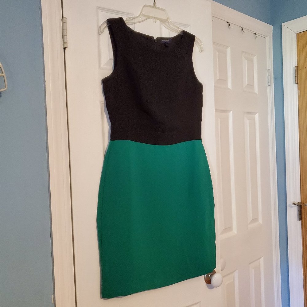 Banana Republic Sleeveless Sheath Dress Size 8